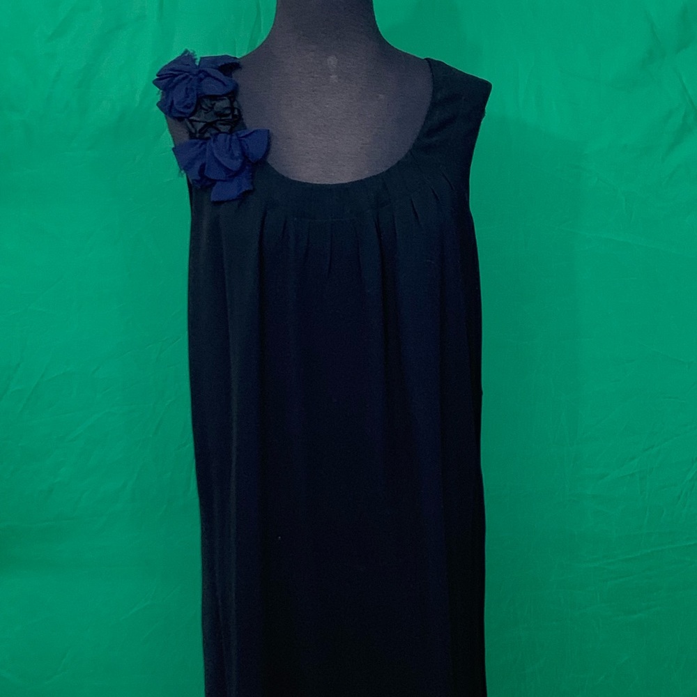 Banana republic women’s dress Sz 2